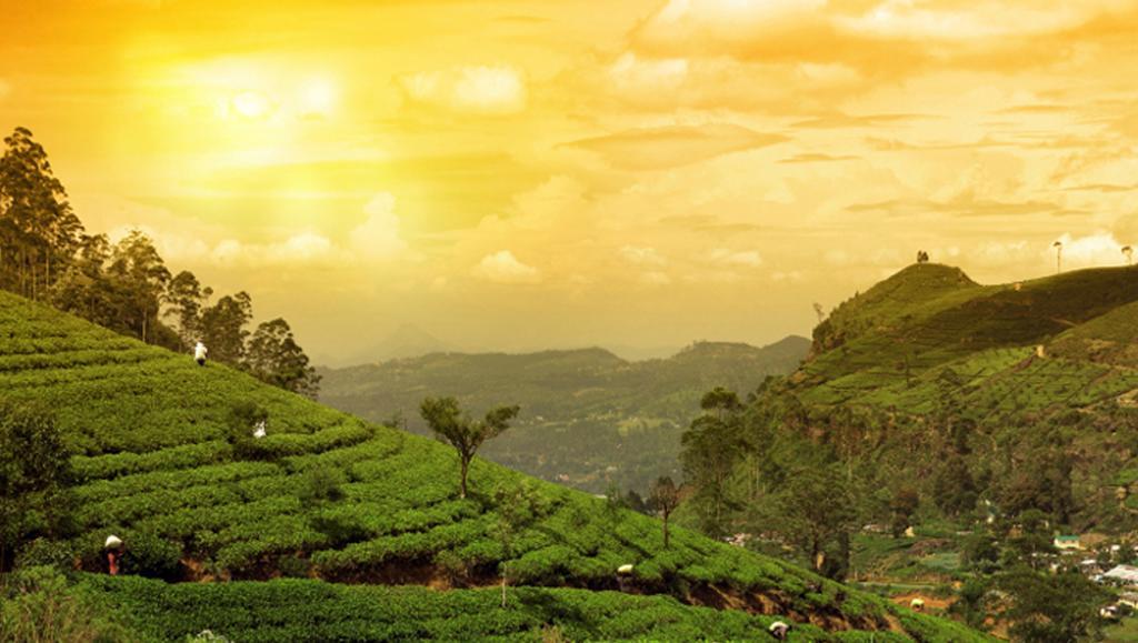 Clouds Valley Hotel Munnar Exterior photo